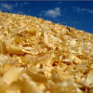 Опилки оптом в Ейске купить - оперативная доставка по всей России