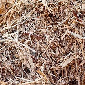 Щепа для арболита оптом в Ейске и других различных марок заказать от 16 тонн